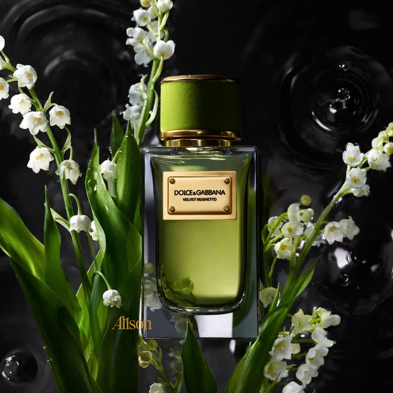 D&G Velvet Mughetto EDP